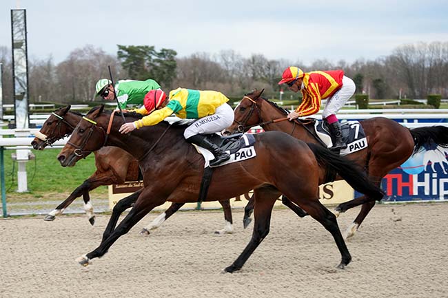 Photo d'arrivée de la course pmu PRIX DE MADIRAN à PAU le Mardi 2 janvier 2024