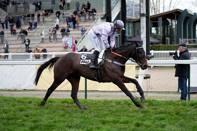 Photo d'arrivée de la course pmu PRIX JOSEPH BARRON à PAU le Mardi 2 janvier 2024