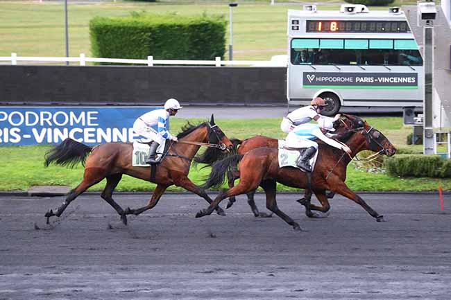 Photo d'arrivée de la course pmu PRIX DE BUZANCAIS à PARIS-VINCENNES le Mercredi 3 janvier 2024