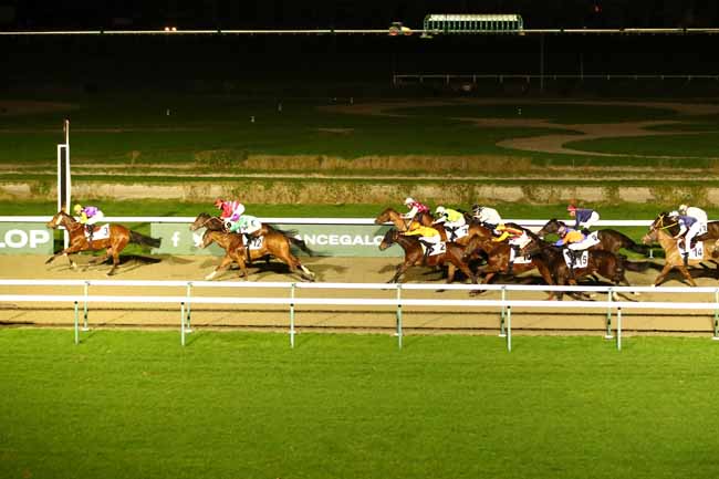 Photo d'arrivée de la course pmu PRIX DE L'AURETTE à DEAUVILLE le Samedi 6 janvier 2024