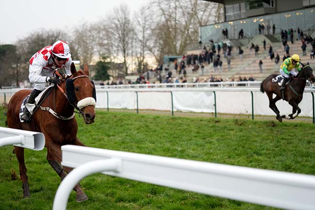 Photo d'arrivée de la course pmu PRIX ETALON CASTLE DU BERLAIS (PRIX AUGUSTE DE CASTELBAJAC) à PAU le Mercredi 10 janvier 2024