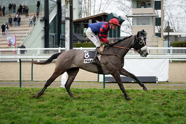Photo d'arrivée de la course pmu PRIX DE SAN SEBASTIAN-DONOSTIA à PAU le Mercredi 10 janvier 2024