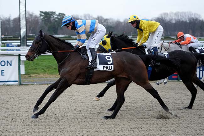 Photo d'arrivée de la course pmu PRIX DE LIVRON à PAU le Mercredi 10 janvier 2024