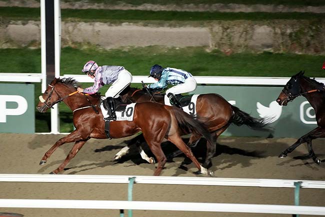 Photo d'arrivée de la course pmu PRIX DE LA GARE TRANSATLANTIQUE à DEAUVILLE le Vendredi 12 janvier 2024