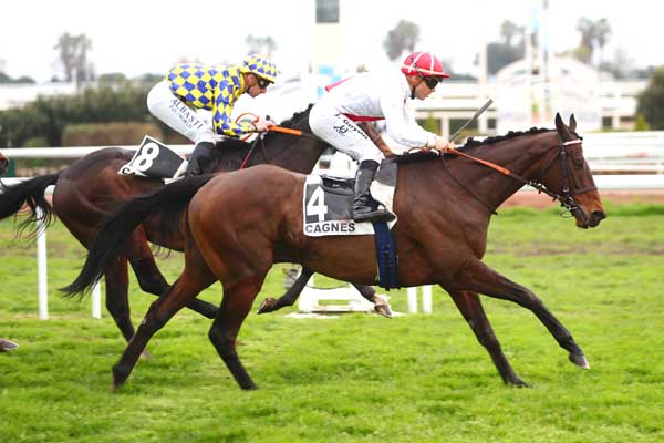 Photo d'arrivée de la course pmu PRIX ROBERT VILLENEUVE-BARGEMON à CAGNES-SUR-MER le Mercredi 17 janvier 2024