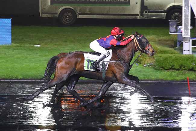 Photo d'arrivée de la course pmu PRIX DE PONT-A-MOUSSON à PARIS-VINCENNES le Mercredi 17 janvier 2024