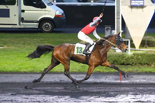 Photo d'arrivée de la course pmu PRIX ROXANE GRIFF à PARIS-VINCENNES le Dimanche 21 janvier 2024