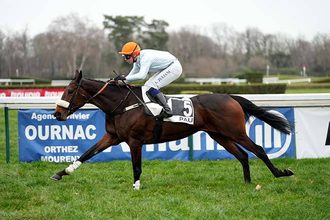 Photo d'arrivée de la course pmu PRIX DE LA BIGORRE à PAU le Lundi 22 janvier 2024