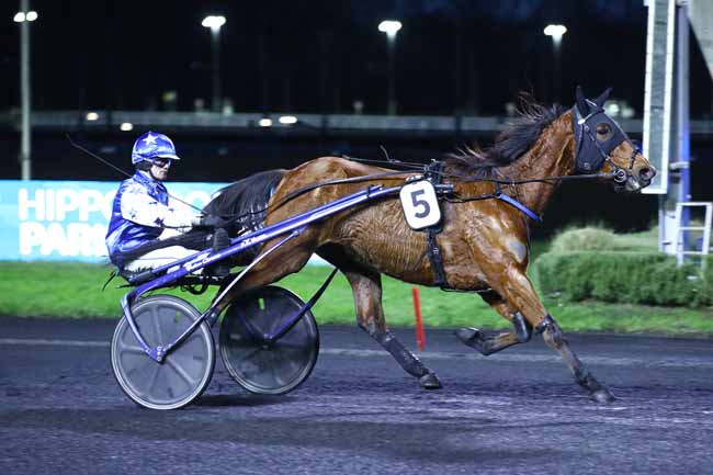 Photo d'arrivée de la course pmu PRIX DU LION D'ANGERS à PARIS-VINCENNES le Lundi 22 janvier 2024