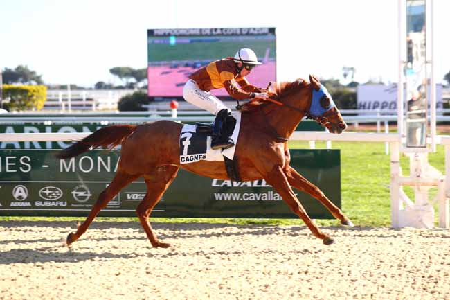 Photo d'arrivée de la course pmu PRIX DE LA SAUGE POURPREE à CAGNES-SUR-MER le Mardi 23 janvier 2024