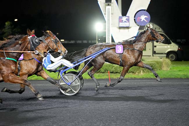 Photo d'arrivée de la course pmu PRIX DE SAINTE-GAUBURGE à PARIS-VINCENNES le Mardi 23 janvier 2024