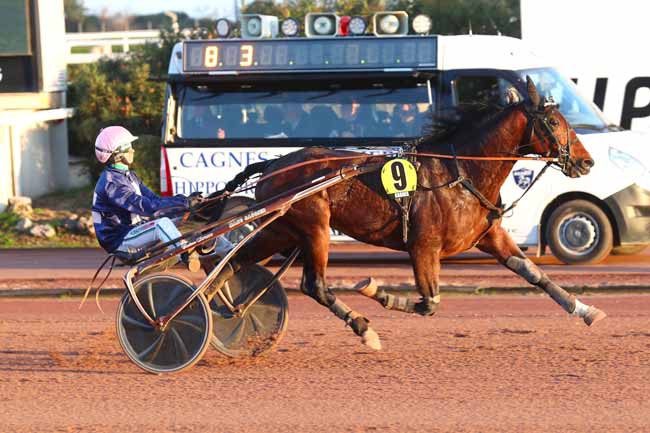 Photo d'arrivée de la course pmu PRIX DES ANCOLIES à CAGNES-SUR-MER le Mercredi 24 janvier 2024