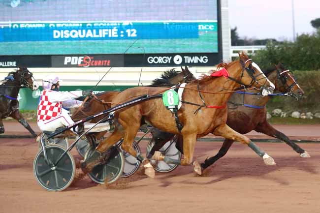Photo d'arrivée de la course pmu PRIX RASTEL BIHAN à CAGNES-SUR-MER le Mercredi 24 janvier 2024