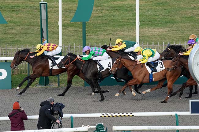 Photo d'arrivée de la course pmu PRIX DE LA PREMIERE ROUTE RONDE à CHANTILLY le Mercredi 24 janvier 2024