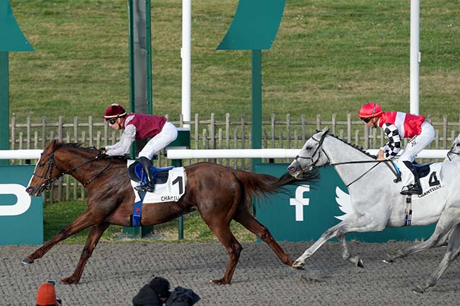 Photo d'arrivée de la course pmu PRIX SOLOW à CHANTILLY le Mercredi 24 janvier 2024