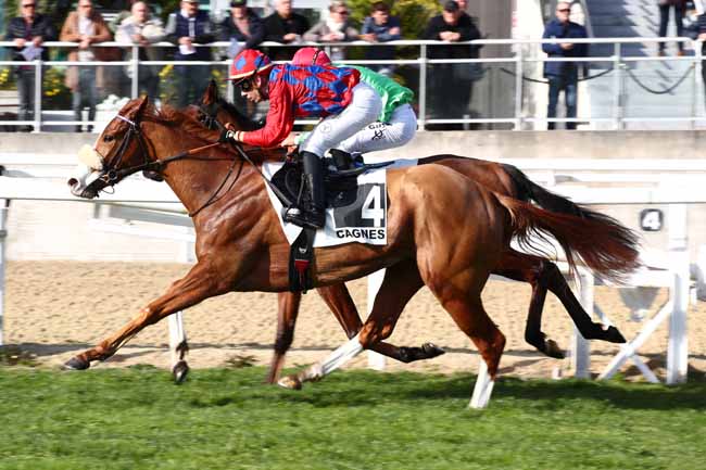 Photo d'arrivée de la course pmu PRIX DES CITRONNIERS à CAGNES-SUR-MER le Lundi 29 janvier 2024