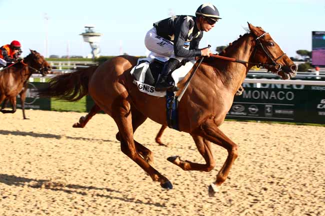 Photo d'arrivée de la course pmu PRIX DES BOUTONS D'OR à CAGNES-SUR-MER le Lundi 29 janvier 2024