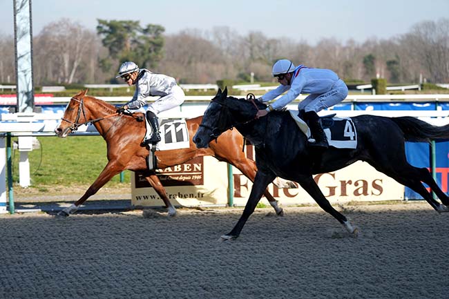 Photo d'arrivée de la course pmu PRIX MAGICIENNE - PELOTON 1 à PAU le Mercredi 31 janvier 2024