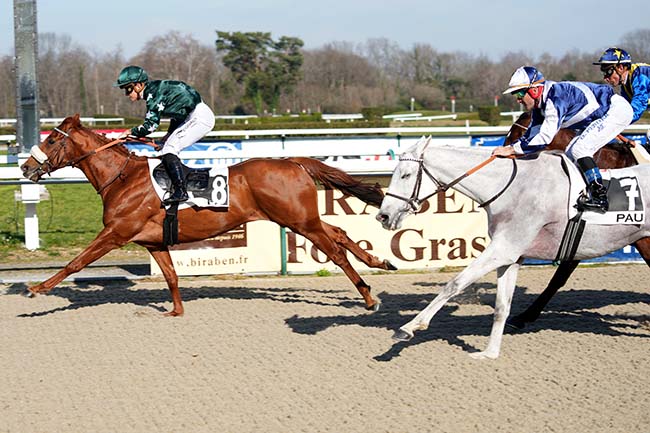 Photo d'arrivée de la course pmu PRIX DE LESCAR à PAU le Mercredi 31 janvier 2024