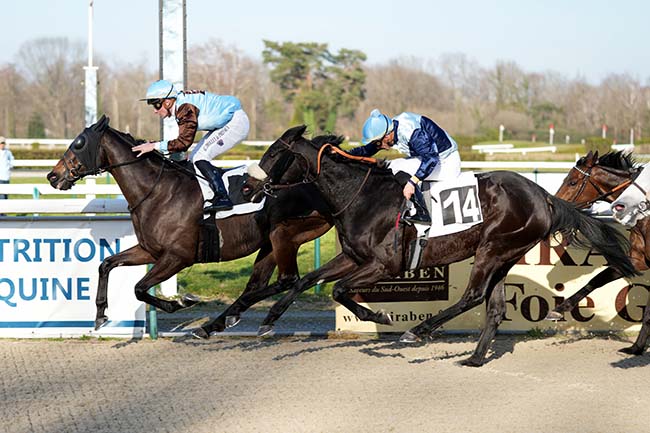 Photo d'arrivée de la course pmu PRIX PMU HENRI PHILIPPE - MAZERES-LEZONS (PRIX D'ARAUJUZON) à PAU le Mercredi 31 janvier 2024
