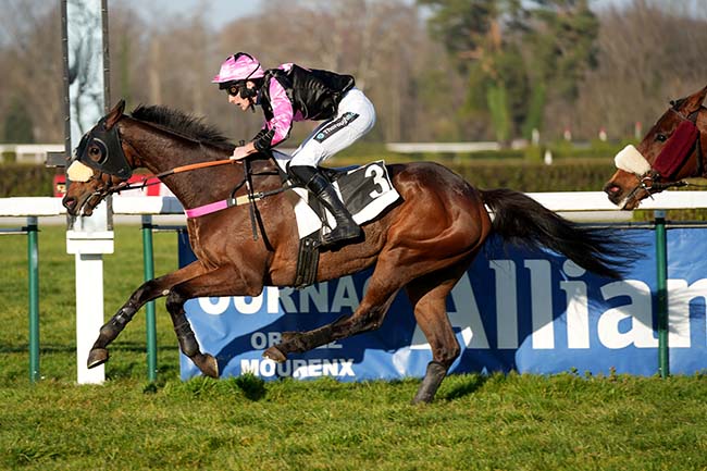 Photo d'arrivée de la course pmu PRIX ANNIE HUTTON à PAU le Mercredi 31 janvier 2024