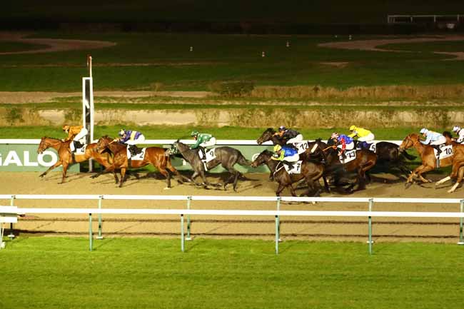Photo d'arrivée de la course pmu PRIX DE VEULES-LES-ROSES à DEAUVILLE le Vendredi 2 février 2024