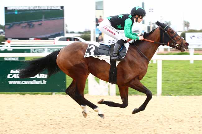 Photo d'arrivée de la course pmu PRIX DE SORMIOU à CAGNES-SUR-MER le Lundi 5 février 2024