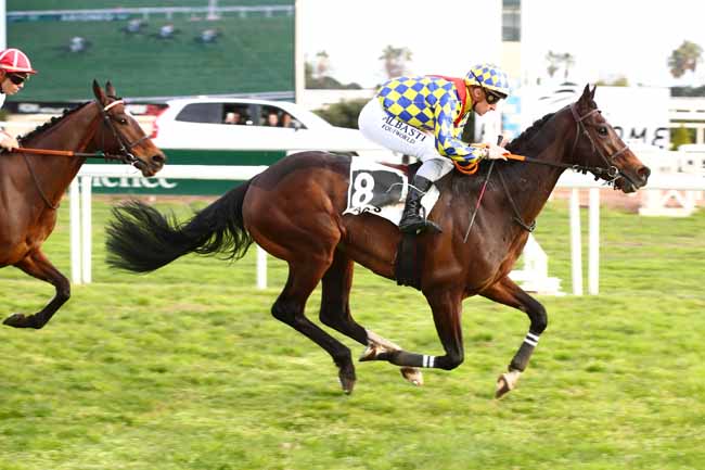 Photo d'arrivée de la course pmu PRIX WILLIAM ALEXANDRE RUINAT à CAGNES-SUR-MER le Lundi 5 février 2024