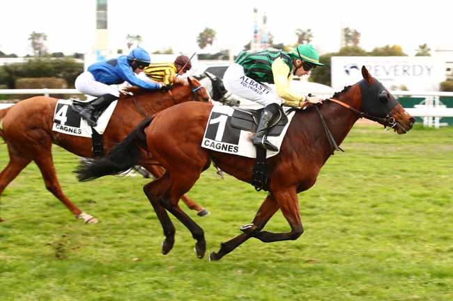 Photo d'arrivée de la course pmu PRIX DE MOUGINS à CAGNES-SUR-MER le Lundi 5 février 2024