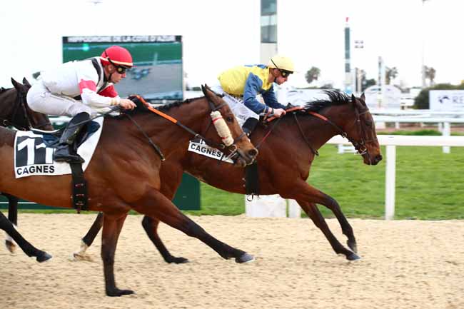 Photo d'arrivée de la course pmu PRIX DE MORGIOU à CAGNES-SUR-MER le Lundi 5 février 2024