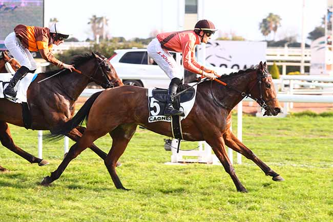 Photo d'arrivée de la course pmu PRIX DE LA MONTAGNE SAINTE VICTOIRE à CAGNES-SUR-MER le Mercredi 7 février 2024