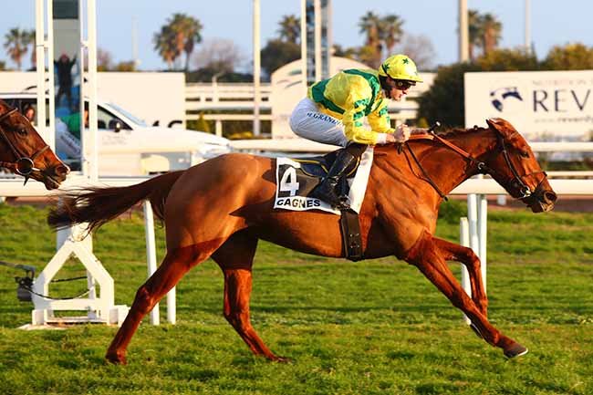 Photo d'arrivée de la course pmu PRIX DU GARD à CAGNES-SUR-MER le Mercredi 7 février 2024