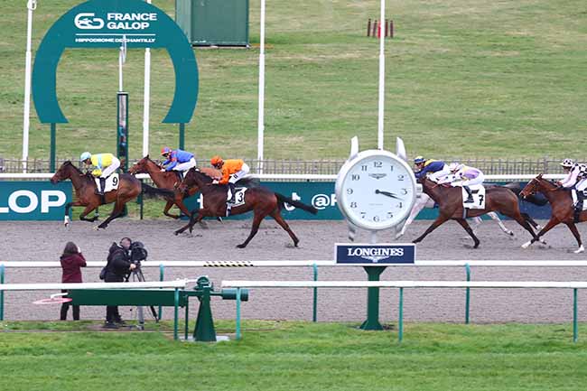 Photo d'arrivée de la course pmu PRIX DES GAZONS DE COYE à CHANTILLY le Vendredi 9 février 2024
