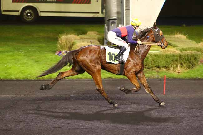 Photo d'arrivée de la course pmu PRIX DE BOUGUENAIS à PARIS-VINCENNES le Dimanche 11 février 2024