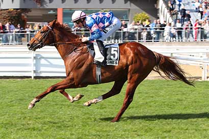 Photo d'arrivée de la course pmu PRIX DU VIEUX BOURG (PRIX DU FORT CARRE) à CAGNES-SUR-MER le Samedi 17 février 2024