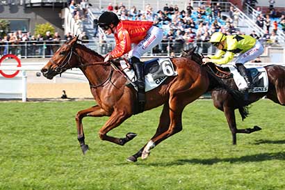 Photo d'arrivée de la course pmu PRIX DU POLYGONE SAINT-JEAN (PRIX DU FORT VAUBAN) à CAGNES-SUR-MER le Samedi 17 février 2024