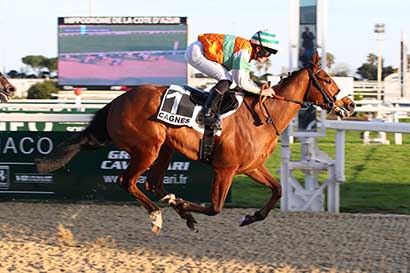 Photo d'arrivée de la course pmu PRIX DU VAL FLEURI ET DES VESPINS (PRIX DU VAUCLUSE) à CAGNES-SUR-MER le Samedi 17 février 2024