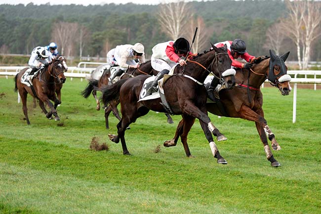 Photo d'arrivée de la course pmu PRIX GENERAL MARION à FONTAINEBLEAU le Mardi 20 février 2024