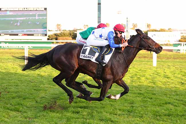 Photo d'arrivée de la course pmu PRIX DE CIMIEZ à CAGNES-SUR-MER le Mercredi 21 février 2024