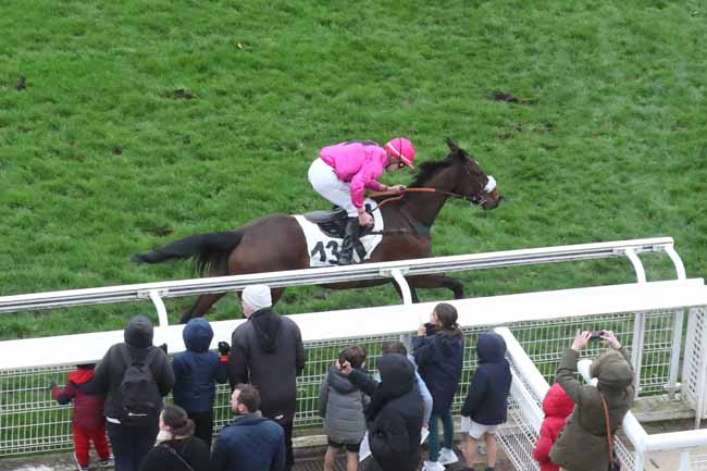 Photo d'arrivée de la course pmu PRIX DOUBLON à AUTEUIL le Samedi 24 février 2024
