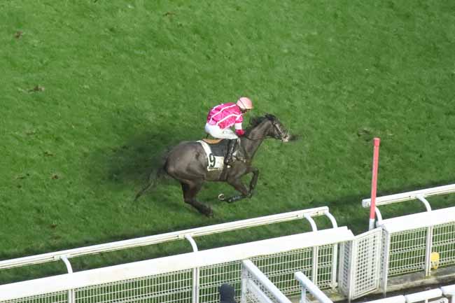Photo d'arrivée de la course pmu PRIX BOUGIE à AUTEUIL le Samedi 24 février 2024