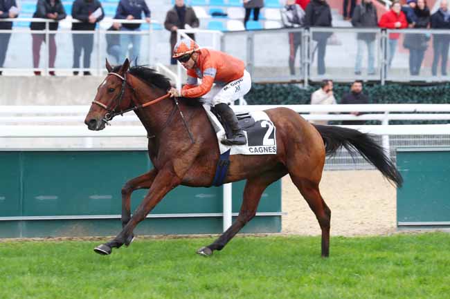 Photo d'arrivée de la course pmu PRIX DU CHEIRON à CAGNES-SUR-MER le Lundi 26 février 2024