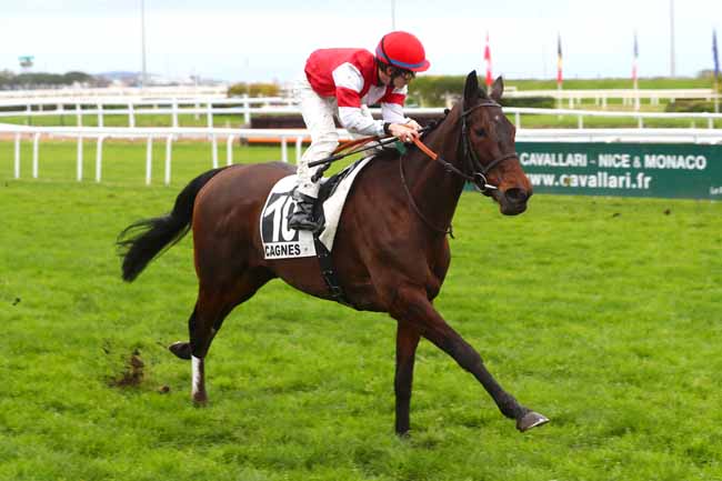 Photo d'arrivée de la course pmu PRIX DES CRIQUETS à CAGNES-SUR-MER le Lundi 26 février 2024