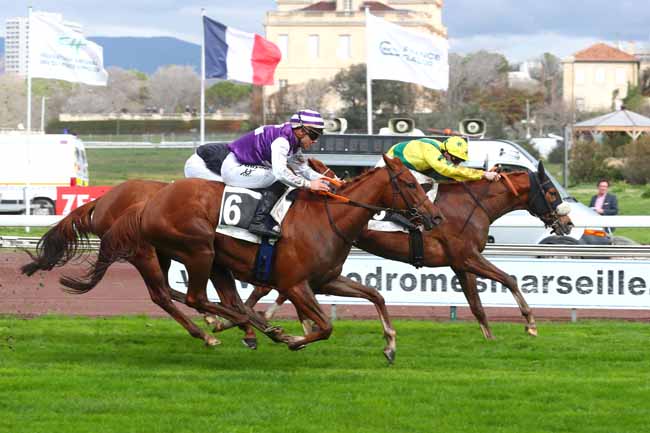Photo d'arrivée de la course pmu PRIX DES ARGANIERS à MARSEILLE BORELY le Mardi 27 février 2024