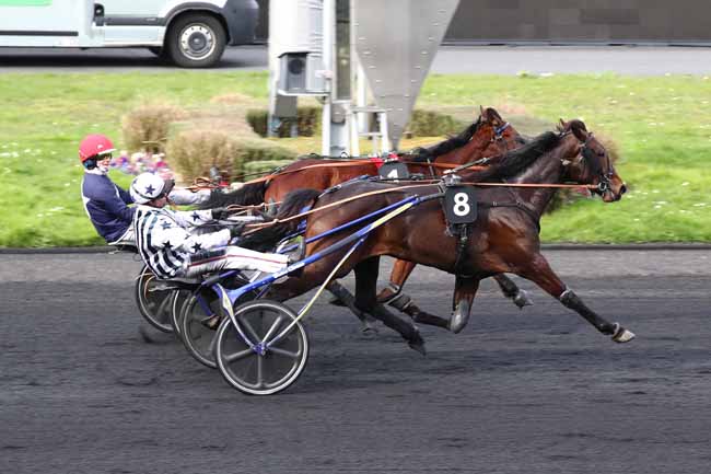 Photo d'arrivée de la course pmu PRIX D'AMBERT à PARIS-VINCENNES le Mercredi 28 février 2024