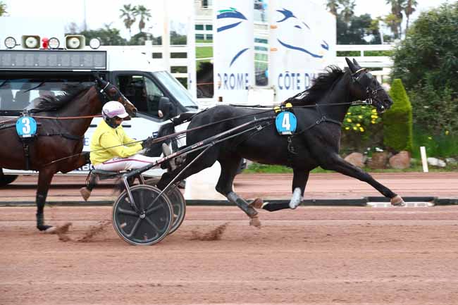 Photo d'arrivée de la course pmu PRIX D'AMMEVILLE à CAGNES-SUR-MER le Jeudi 29 février 2024