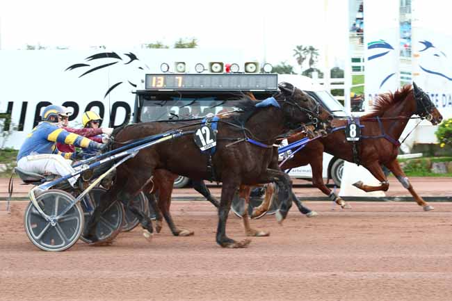 Photo d'arrivée de la course pmu PRIX DE LA CIOTAT à CAGNES-SUR-MER le Jeudi 29 février 2024