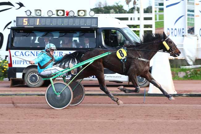 Photo d'arrivée de la course pmu PRIX D'ALASSIO à CAGNES-SUR-MER le Jeudi 29 février 2024