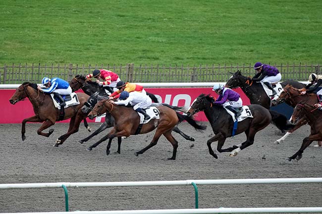 Photo d'arrivée de la course pmu PRIX DE LA PIERRE DE RHUIS à CHANTILLY le Jeudi 29 février 2024