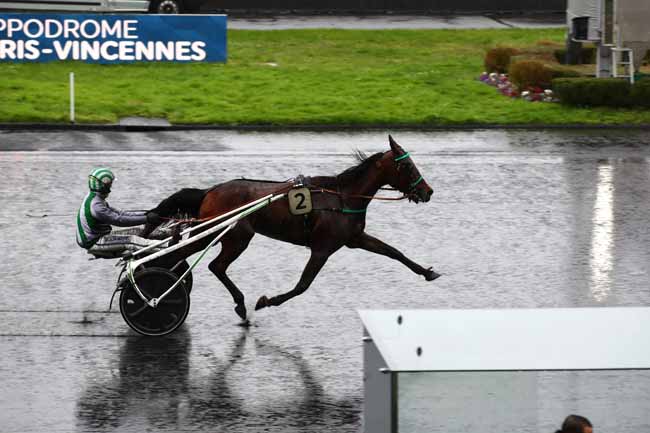 Photo d'arrivée de la course pmu PRIX DE GUER-COETQUIDAN à PARIS-VINCENNES le Samedi 2 mars 2024
